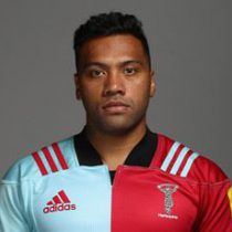 harlequins rugby