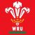 Jordan Walters Wales U20's