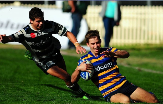 Guy Porter joins Brumbies Rugby | Ultimate Rugby Players, News ...