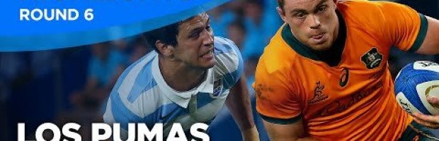 Los Pumas V Wallabies Highlights Round Six The Rugby Championship 2021 Ultimate Rugby 