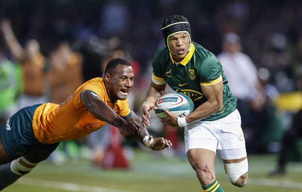 Springboks Thrash Wallabies By 31 Points | Ultimate Rugby Players, News ...