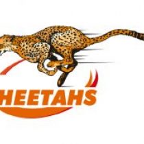 Ruben de Haas Cheetahs