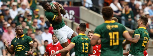 Springboks vs Wales: A look at the numbers