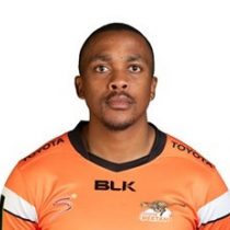 Litha Nkula Free State Cheetahs