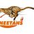 Michael Annies Free State Cheetahs