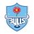 Juann Else Blue Bulls