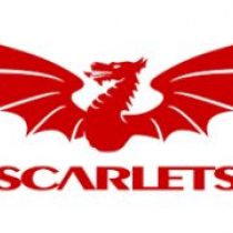 Rhodri Lewis Scarlets