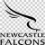 Alex Hearle Newcastle Falcons