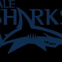 Le Roux Roets Sale Sharks