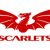 Archer Holz Scarlets