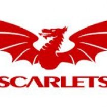 Gabe Hawley Scarlets