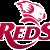 Dre Pakeho Queensland Reds