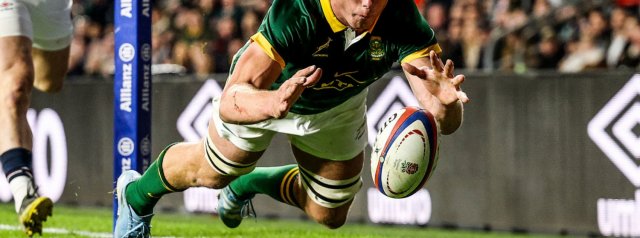 Springbok Player Ratings