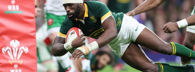 Springbok Player Ratings