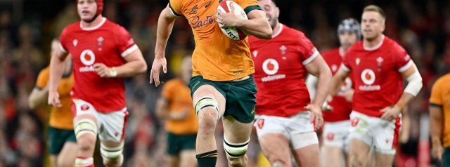 Wallabies ready to face Ireland