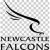 Reuben Parsons Newcastle Falcons