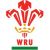 Caio James Wales U20's