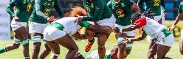 Springbok women 2026