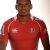 Chrysander Botha Lions